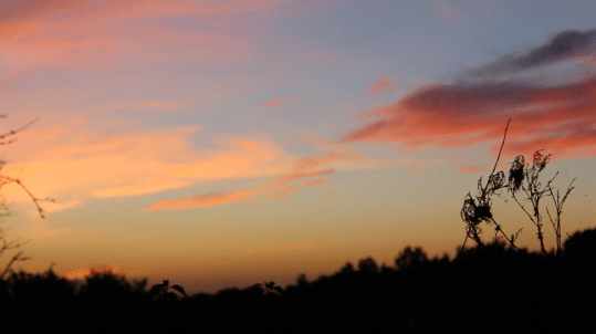 Screen Shot 2016-04-28 at 4.05.17 PM